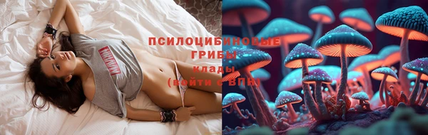 а пвп мука Армянск