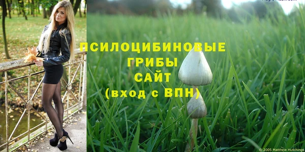 mdpv Аркадак
