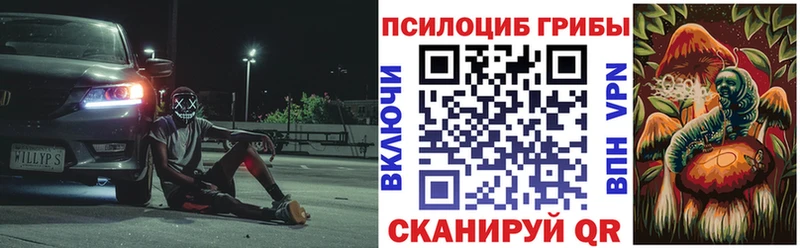 Псилоцибиновые грибы ЛСД  Приморско-Ахтарск 